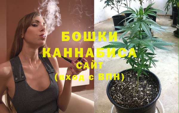 гидра Бронницы