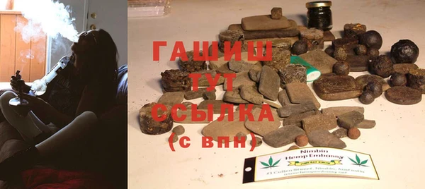 МДПВ Бородино