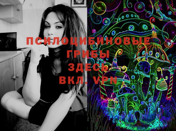 гидра Бронницы