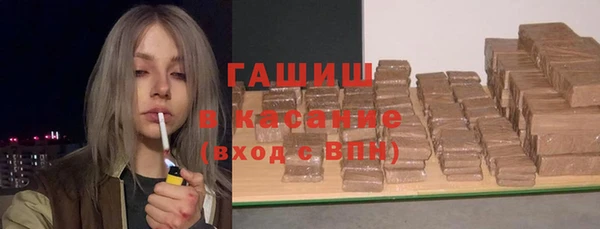 МДПВ Бородино