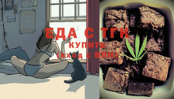 МДПВ Бородино