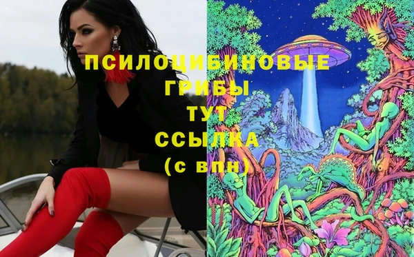 соль курить ск Верея