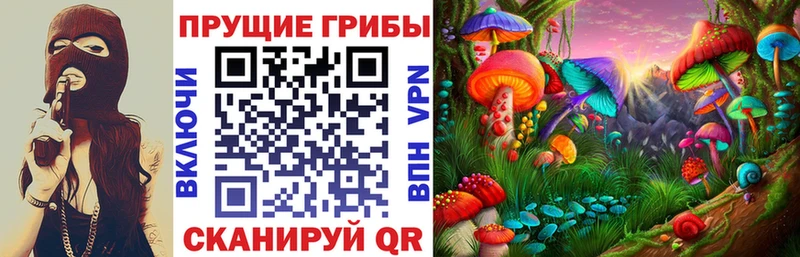 гидра ССЫЛКА  Грайворон  Галлюциногенные грибы MAGIC MUSHROOMS  сколько стоит 